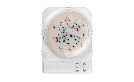 Compact Dry EC - Coliformes E E.Coli - 100 Testes